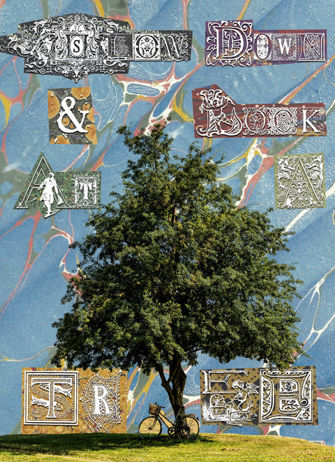 Look at a Tree - Blu-Charlie Designs